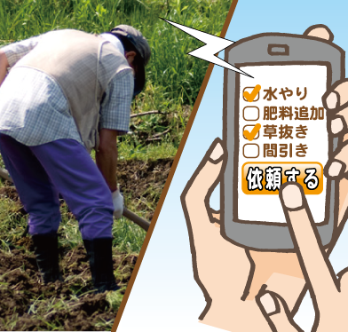 ゲームのようなWEB農場・アプリのリモコン農園は無農薬・有機栽培野菜の生育状況を画面で見ながら遠隔操作で農作業を依頼するだけ！だから忙しいあなたでも、簡単に野菜づくりが楽しめます！